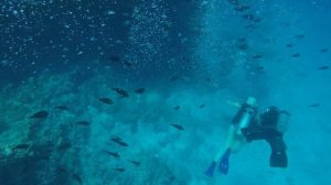 Paradise Island Hurghada Egypt / Red Sea Snorkeling & Diving