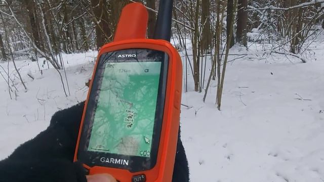 Посмотрим следы куницы смотреть онлайн