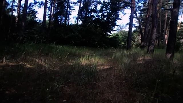 САВЕЛИЙ АД И МАМА. ПОЧЕМУ РАЗНЫЕ НОГИ смотреть онлайн