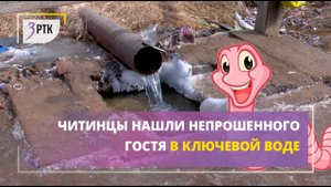 Читинцы нашли непрошенного гостя в ключевой воде