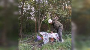 Сажаем первую липу на пасеке, 2022 год