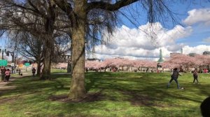 Портленд штат Орегон - ЛУЧШИЙ ГОРОД