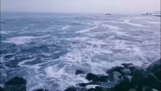 Мудрые слова смотреть онлайн