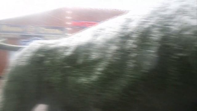 Снизошел с небес на город снегопад... смотреть онлайн