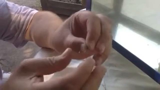 Крючковяз смотреть онлайн