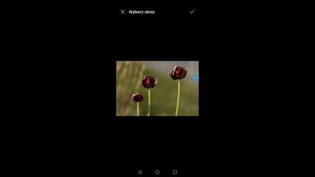 HP Smart Tank 515_krótkie wprowadzenie смотреть онлайн