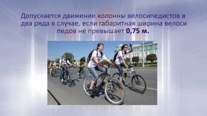 24  Дополнительное требования к движению водителей мопедов и велосипедистов