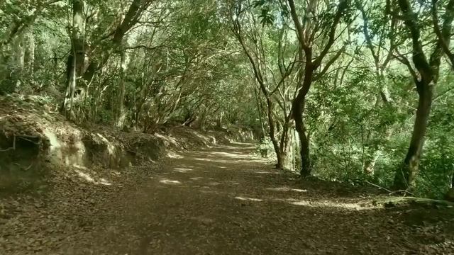 Позволь своему организму расслабиться. Окунуться мир спокойствия и блаженства. смотреть онлайн