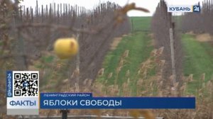 В Ленинградском районе открыли новый исправительный центр для осужденных женщин