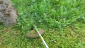 Grasscutter Stihl FS250 ?in action POV / мотокоса в работе / kosa spalinowa
