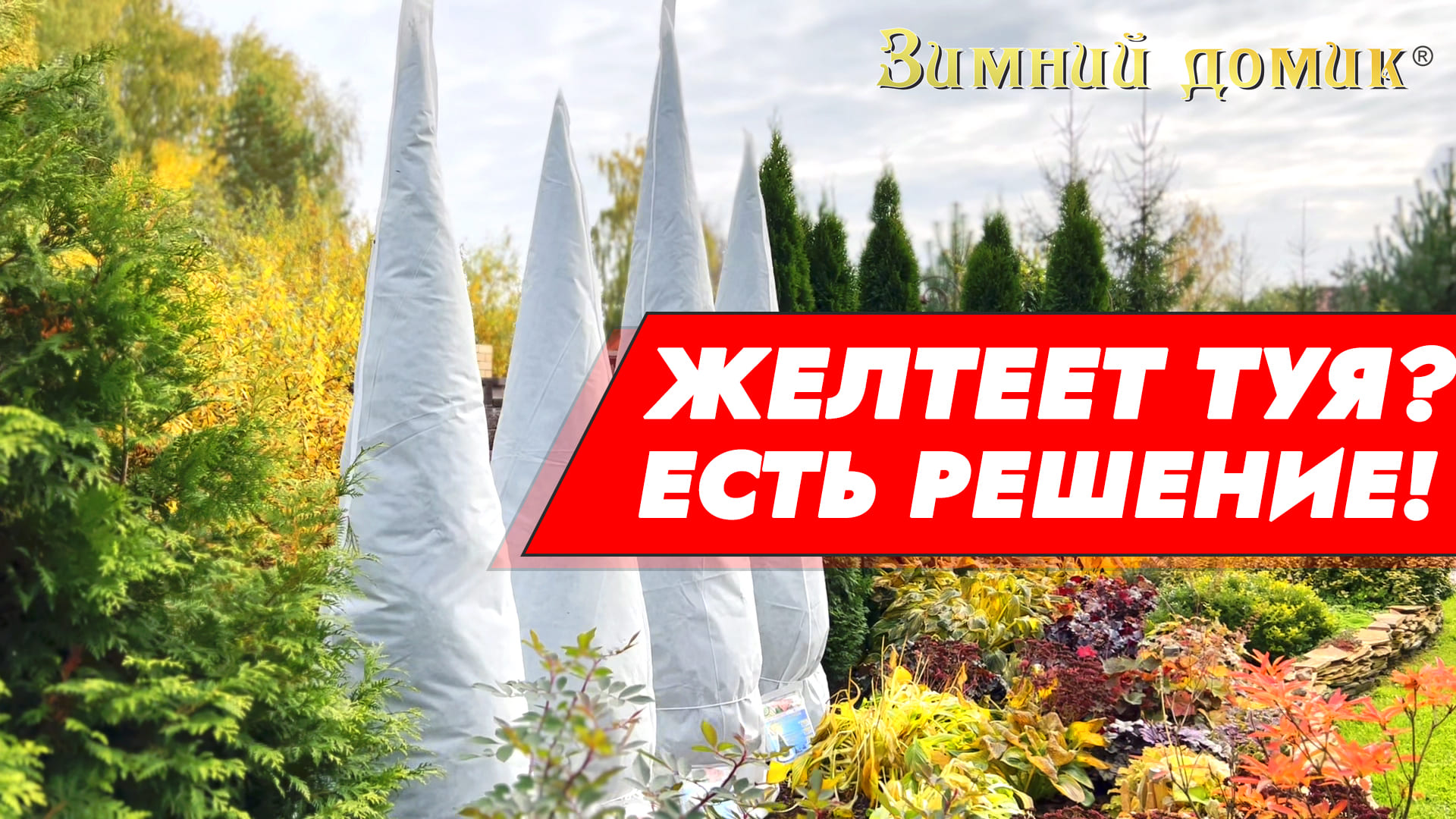 ЖЕЛТЕЕТ ТУЯ? ЕСТЬ РЕШЕНИЕ! Укрытие для туи "Зимний Домик"!
