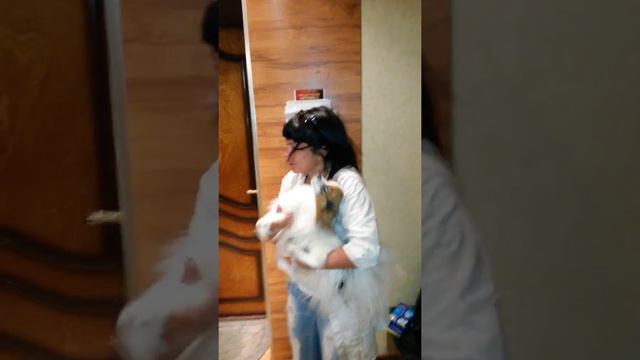 Долгожданная встреча