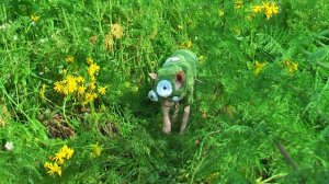 Котожук и Кот-Кикимот