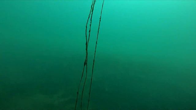 Погружение 🤿 в синявинском карьере 💪😎🔥 смотреть онлайн