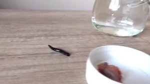 БУДЕТ ЛИ МЕДИЦИНСКАЯ ПИЯВКА, ПИТЬ КРОВЬ С КУСКА МЯСА?