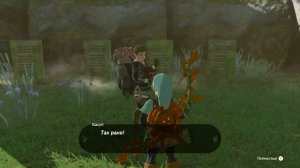 Прохождение.►43.The Legend of Zelda: Tears of the Kingdom. Изучение слепых руин.