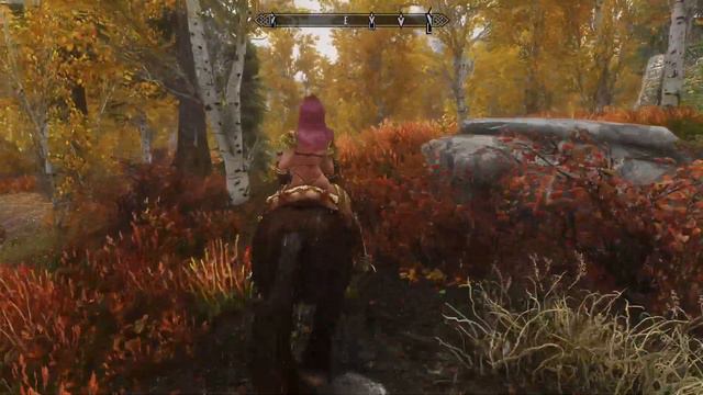 Skyrim SE NSFW MOD R18 - Sword and Magic Gameplay part 2 смотреть онлайн