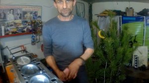 Хон или зеркало? Мое мнение.