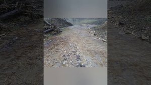 Из Баракаевской в Новосвободную. 2018