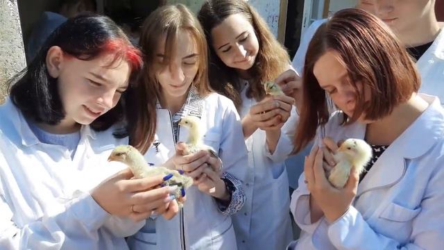 Ляховичский аграрный колледж смотреть онлайн
