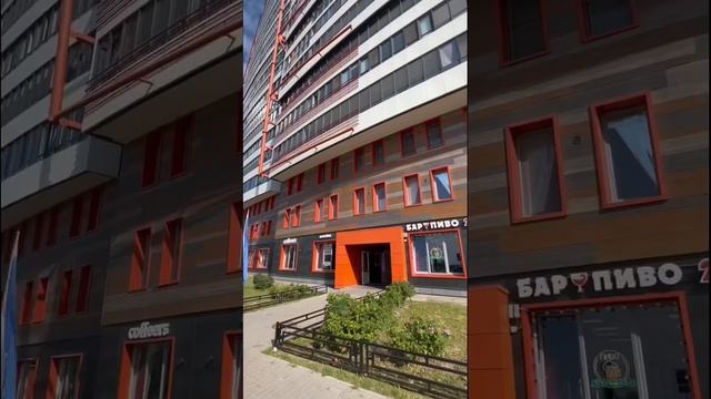 Где купить квартиру Питер? Чтоб не влипнуть! ЖК СПб !