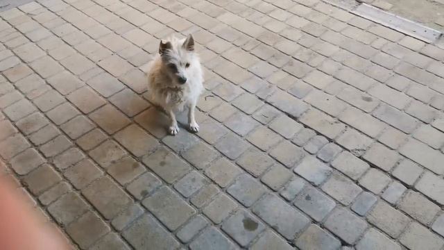 Воскресный, семейный обед!! ЛАПША на курице. Смачного. смотреть онлайн