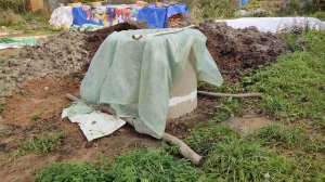 Где копать колодец?! Подсказки природы