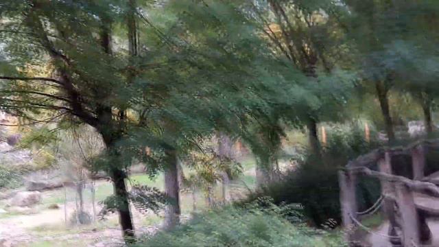 VLOG Зоопарк в Злине Чехия часть 2 I Zoo Lesna Chesko смотреть онлайн