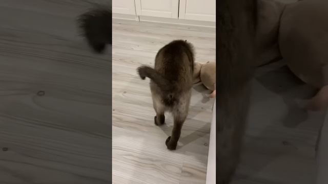 Спасёныш из Якутска. Жизнь после ада. смотреть онлайн