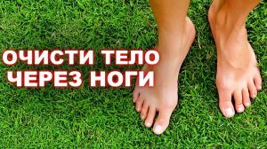Делай ЭТО упражнение и будешь ЗДОРОВ на 100%! / Как вылечить тело через ноги?