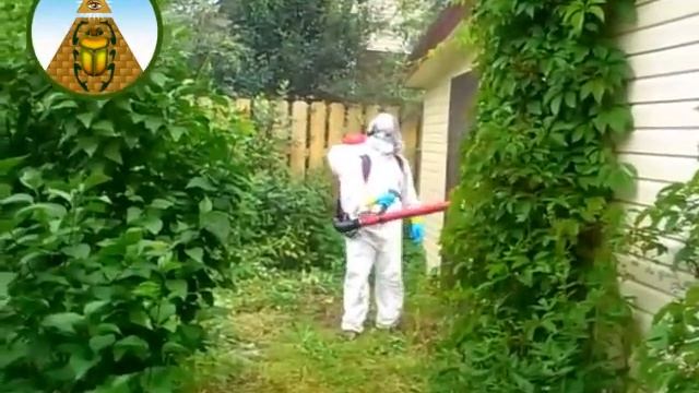 Обработка участка от комаров и клещей смотреть онлайн