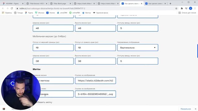 Делаем свои иконки на товарах Тильды смотреть онлайн