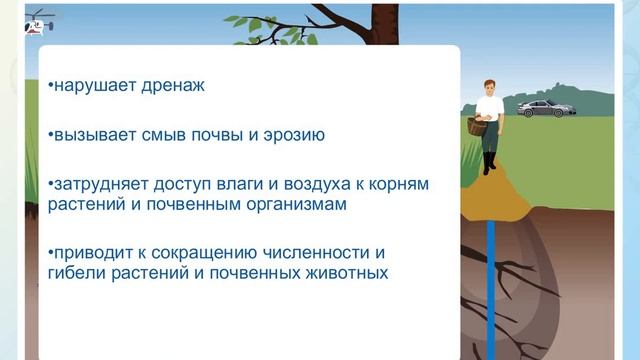 Влияние человека на обитателей почвы смотреть онлайн