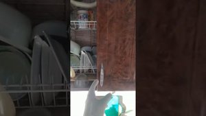 Гнездо тараканов ФСД Рагнар