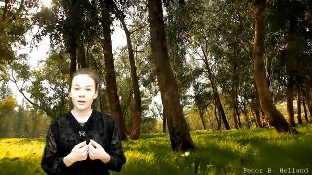 Ф.И Тютчев - «Дым» смотреть онлайн