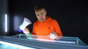 ЧТО, ЕСЛИ ГРОМКИЙ ГУДОК ВКЛЮЧИТЬ ПОД ВОДОЙ?