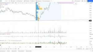 Обзор акции компании Сургутнефтегаз преф.