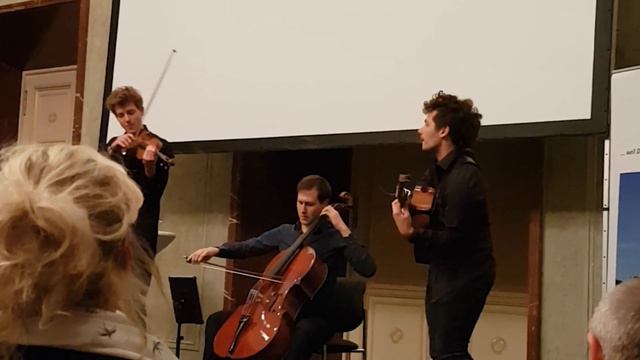 Stein um Stein (Rammstein) - Classical Cover by Wild Strings смотреть онлайн