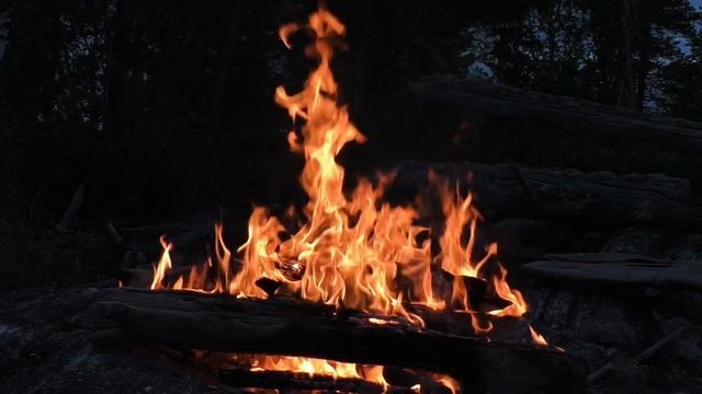 Костёр в вечернем лесу. Треск костра, звуки вечернего леса для отдыха, медитации, спокойного сна. смотреть онлайн