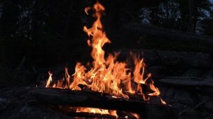 Костёр в вечернем лесу. Треск костра, звуки вечернего леса для отдыха, медитации, спокойного сна.