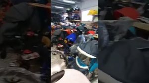 Коляска 3 в 1 Verdi Mocca (Верди Мокко) цвет 19 пудровая в магазине Пчёлка