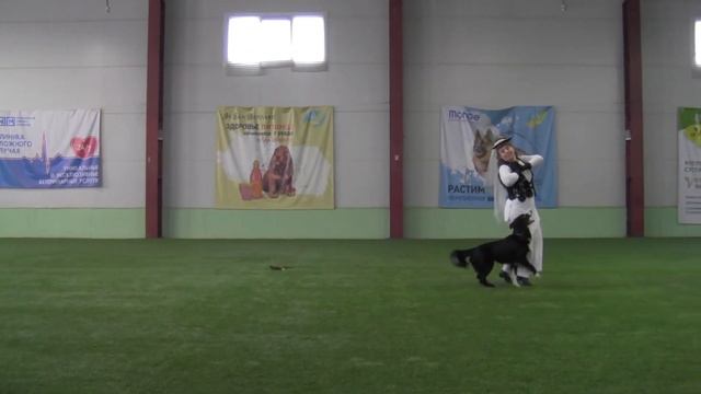 Ейбогина Людмила и LET'S JUST DO IT класс Мастер НТМ смотреть онлайн