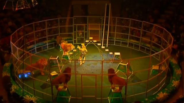 Ольга Борисова / В Созвездии Льва смотреть онлайн