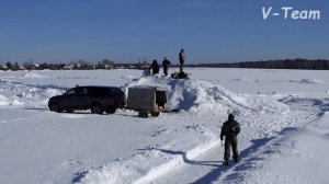 Уиппет История Любви Петербург Бьютифул. ЧРКФ Мартовский заяц - 2019.