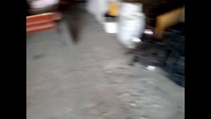 Мотоблок Угра - УРОЖАЙ картофеля/ поломки - потери / замена масло /мотор Mitsubishi 6,0 л.с.