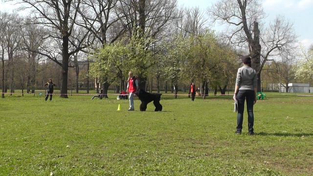 Обидиенс-2. УСКЦ "Останкино" 02.05.2015 г. смотреть онлайн