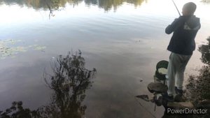 Классная рыбалка на Фидер в начале осени. Рыбалка на Днепре, Запорожье