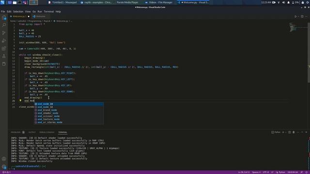 RayLib Tutorial Python - 05 - Creating a 2D Camera in RayLib for Python Game Development