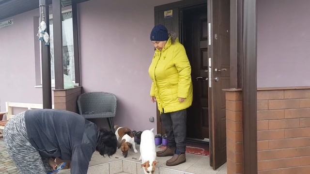 Поехали с мамой в парикмахерскую! Подстриглись ? перед Новым годом! Осталось подкраситься смотреть онлайн