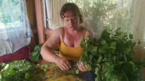 КАК ДЕЛАТЬ ВЕНИКИ ДЛЯ БАНИ? /ЗАЧЕМ В НИХ ДОБАВЛЯЮТ ТРАВЫ?
